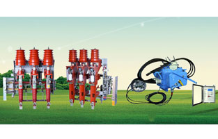 關(guān)于高壓負(fù)荷開關(guān)前面雷爾沃電器已經(jīng)為大家整理了不少知識(shí)，不知道你對(duì)柱上負(fù)荷開關(guān)有了解沒？如今在市場(chǎng)上比較常見的柱上負(fù)荷開關(guān)主要是壓氣式負(fù)荷開關(guān)以及真空負(fù)荷開關(guān)，我們分別來為大家做一個(gè)比較簡(jiǎn)單的講解。